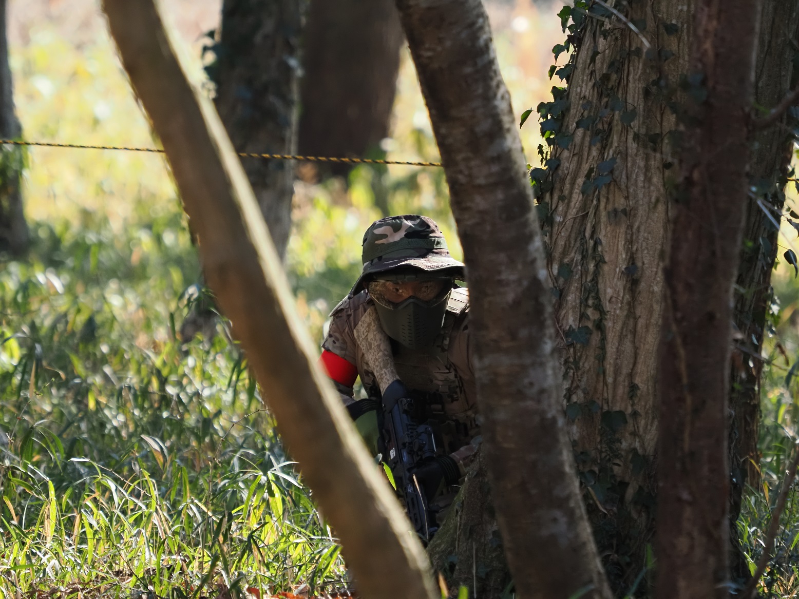BEFORESTER 壬生2026年3月　定例会のキービジュアル